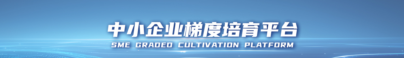 中小企业梯度培育平台